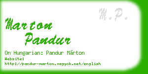marton pandur business card